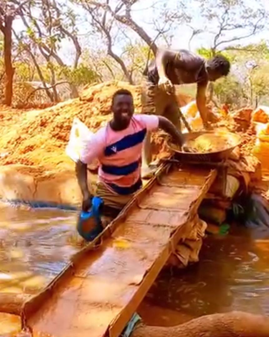 Mario Sons field mining operation